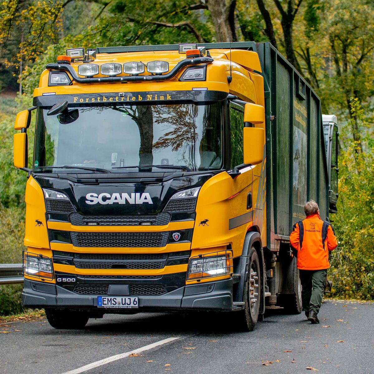 UMFASSENDE BAUMDIENSTLEISTUNGEN